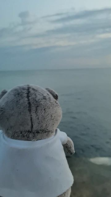 БАСИК ПРИЕХАЛ НА МОРЕ 🤪🌊🍦