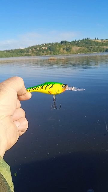 Воблер AQUA SHAMAN DR 76mm. Обзор на берегу реки  #fishing