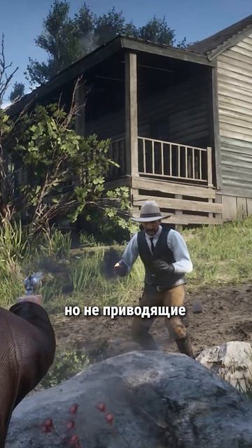 Рранения у нпс в RDR 2