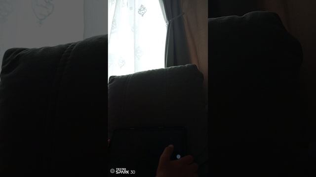 фри демон