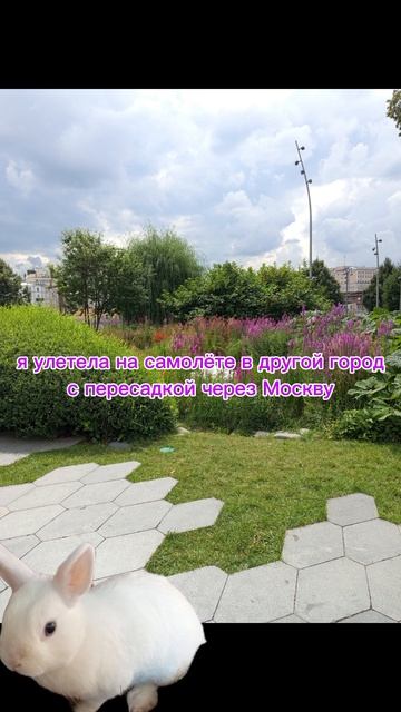 Бригада слишком рано, но ладно😐