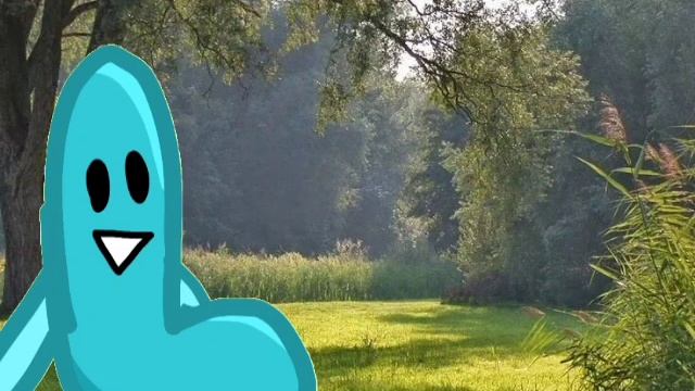 Мы Появились...
