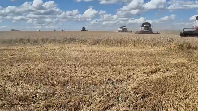Видеомгновения с полей Мензелинска