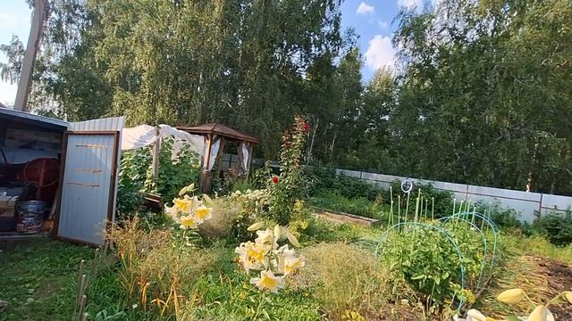 стройка,огород и многое другое👨👩👧👧