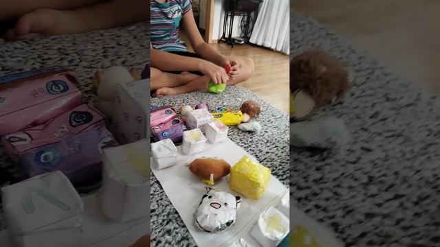 встретимся с моей сестрой. сквишами