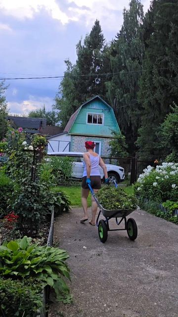 Люблю стричь! Огонь инструмент!  #ташамуляр  #дача