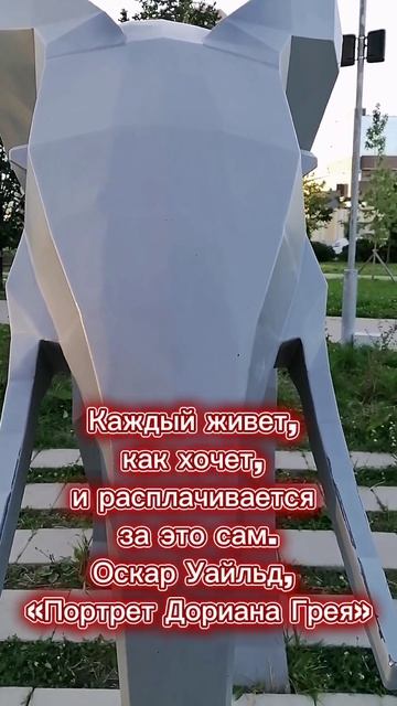 Немного о жизни...