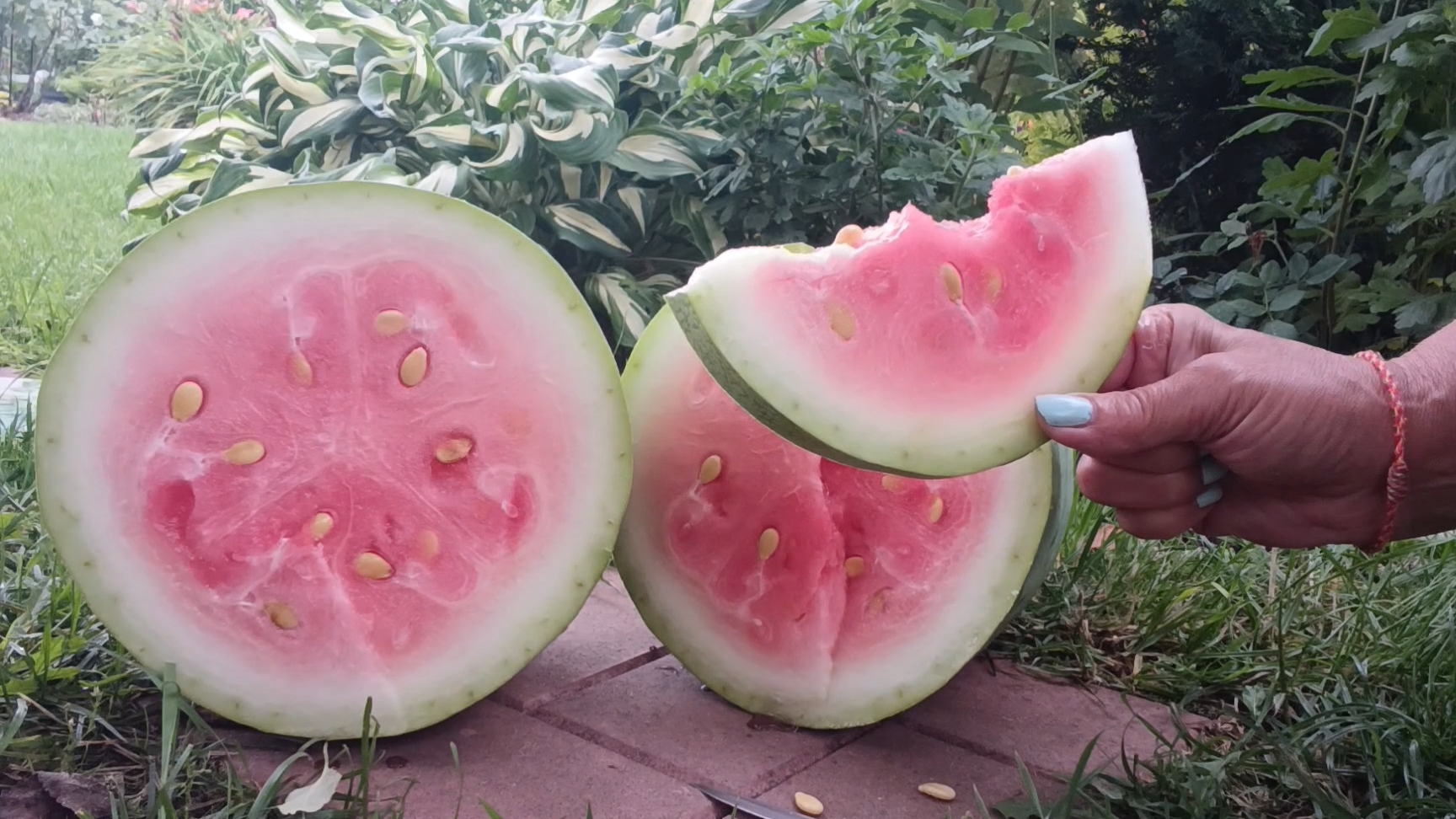 Моё не доброе утро 😢 🍉