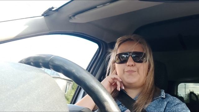 Еду на покраску, Карину от радости описала собака 🐶