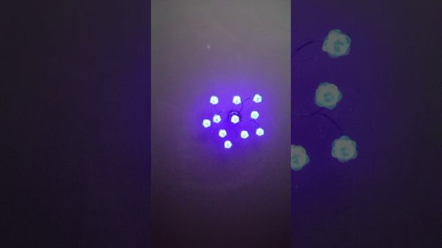 1000009916.mp4
