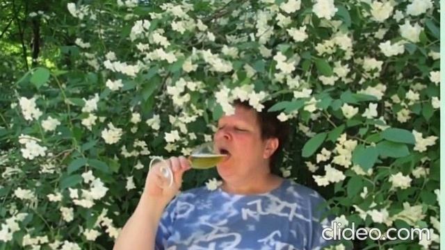 Ц