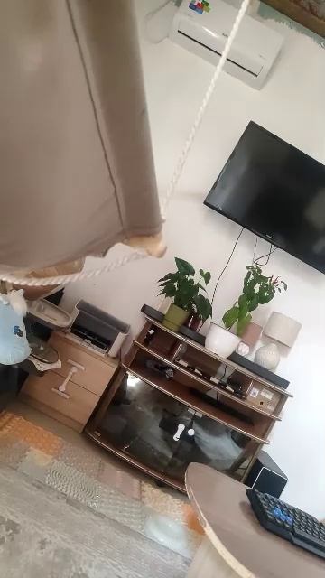 29-07-2026