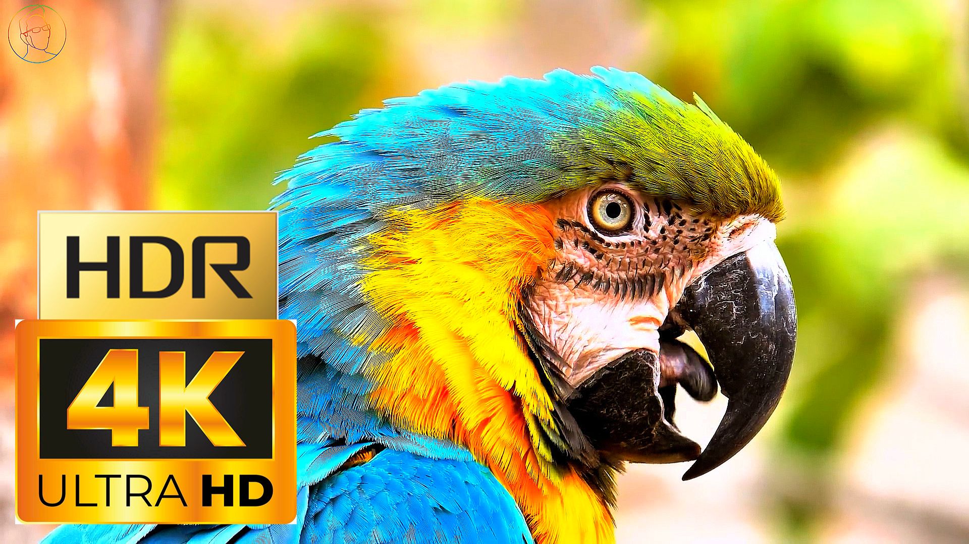 Заставка \ 4K Video ULTRA HD \ 4К Видео Ультра качество Природа