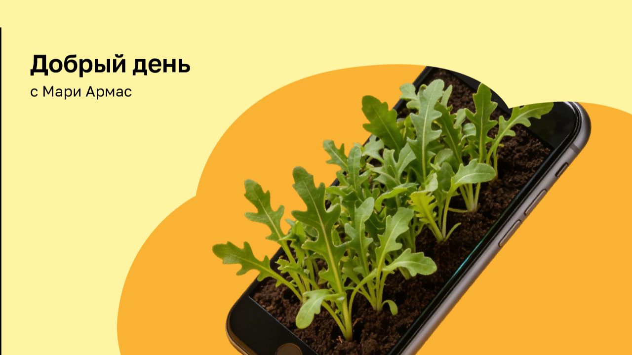 Устричный сомелье Регина Борисова о сортах устриц, пищевой совместимости и мифах про устриц