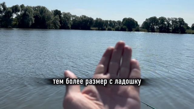 Лучший день с сыном, рыбалка на карася