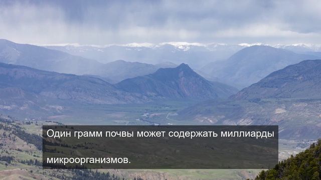 титанический обзор 2