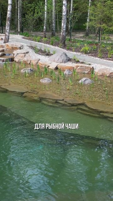 ВАШ КУРОРТ НА УЧАСТКЕ 365 ДНЕЙ В ГОДУ!