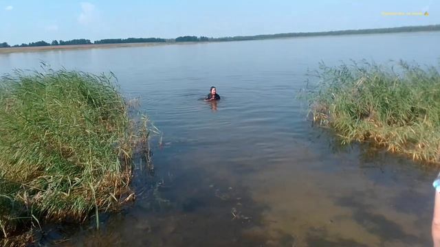 Дрова купил расколол и сложил, сеьздили покупать,и в лес за Берёзовыми ветками.
