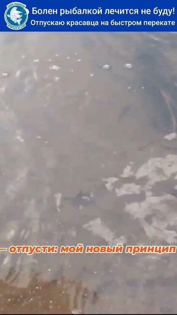 🎣🐟 Моменты с рыбалки! Всем рыбакам НХНЧ!!!