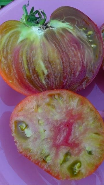 🍅томат МАЛАХИТОВАЯ ОРГАНЗА