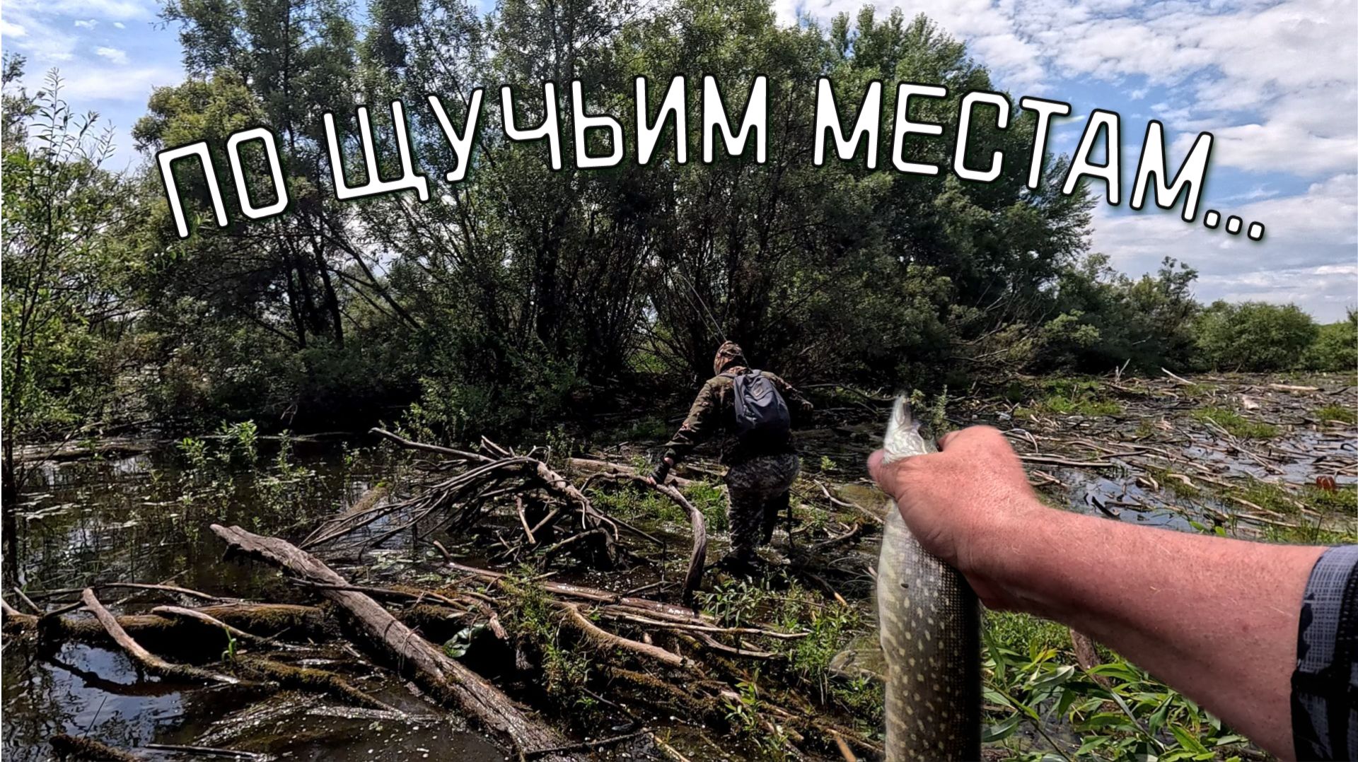 За щукой по завалам и заломам