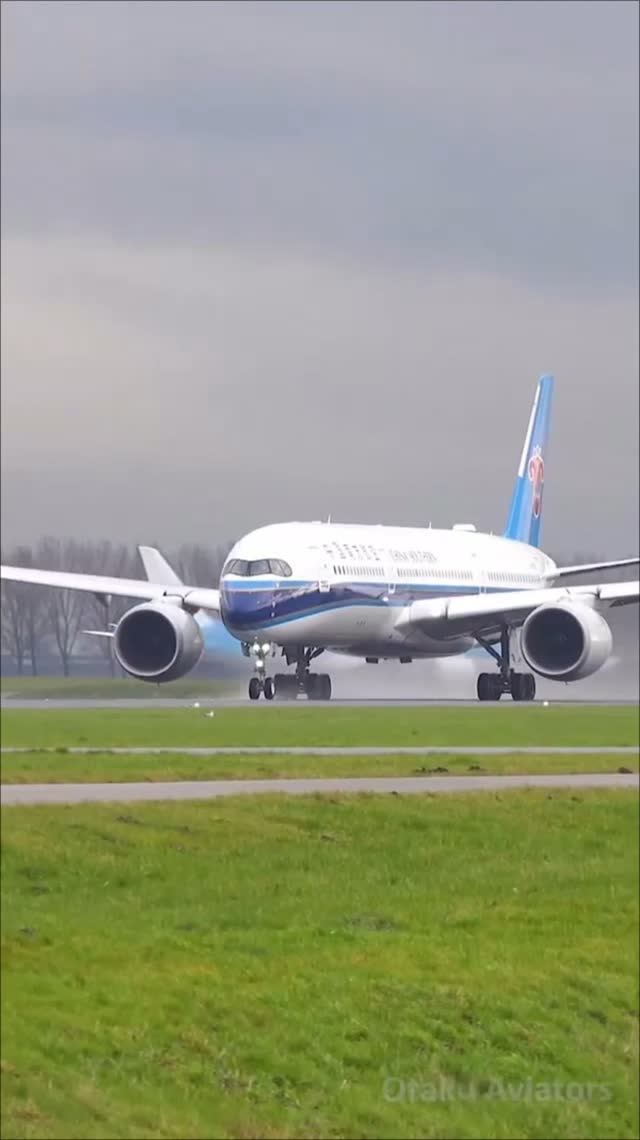 Перелет авикомпанией China Southern Airlines
