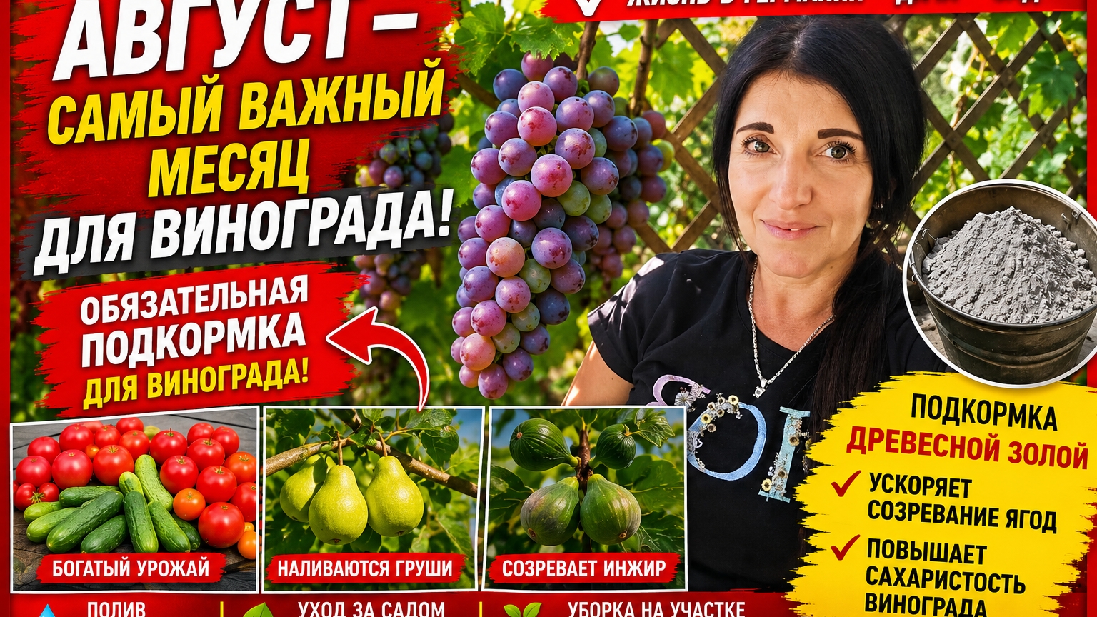 Vlog 🇩🇪 Жизнь в Германии/Любимая Дача 🏕Срочно Подкамите Винограда 🍇В Августе/Золавая Посадка/Убо