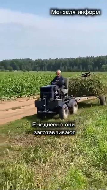 Пенсионеры из села Верхние Юшады заготавливают корм для скота