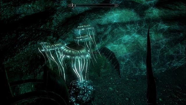 Skyrim фалмеры