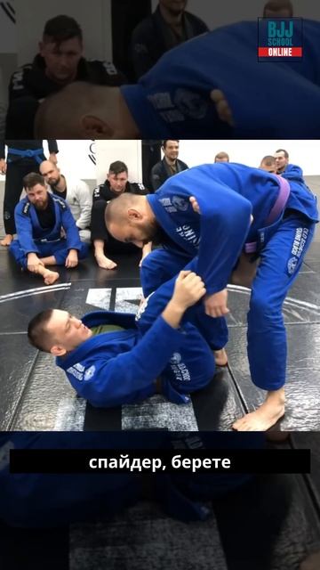 ⏯️Николай Салмин - Lasso DLR Sweep+armbar (Свип и рычаг локтя из лассо-деларивы с выходом на армбар)