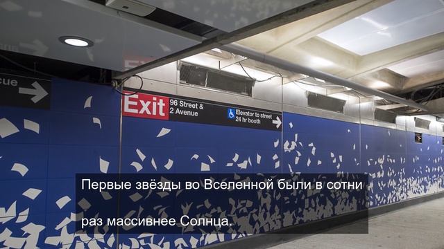 зоопарки в машине 2