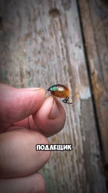 КУДА МЕНЬШЕ ТОБольше в ТГ: LegkayaRybalka  рыбалка воблер обзор спиннинг
