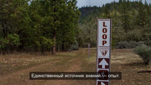 расслабились короли 3