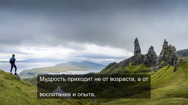 расслабились короли 4