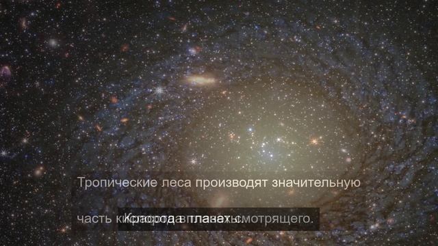 Реинкарнация тела