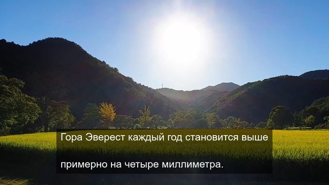 всемогущий страх 4