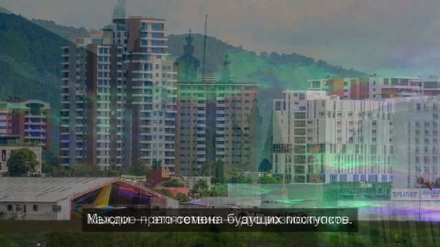 зоопарки в машине 3