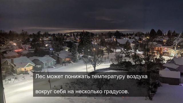 родил гордость 5