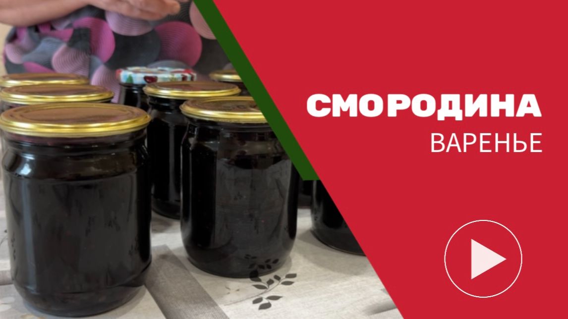 варенье из черной смородины на зиму: мой любимый рецепт