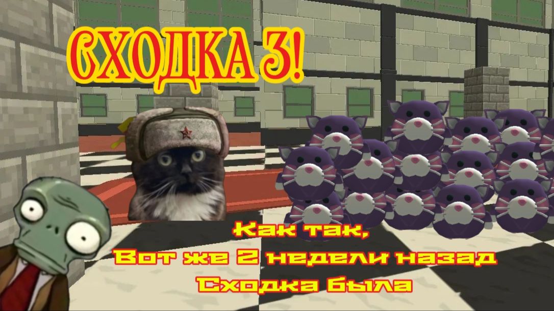 Сходка 3!!!