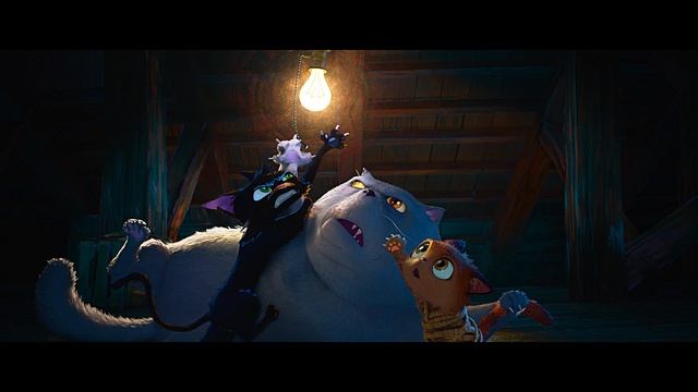 Девять жизней кота Неро!