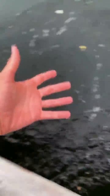 Приколы на рыбалке.