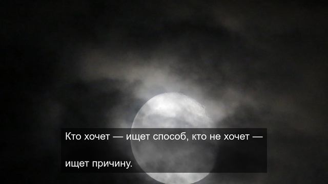расслабились короли