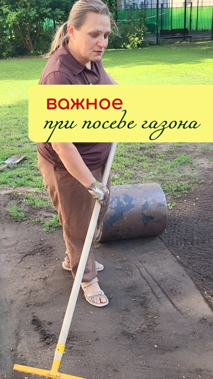 ВАЖНОЕ при посеве ГАЗОНА