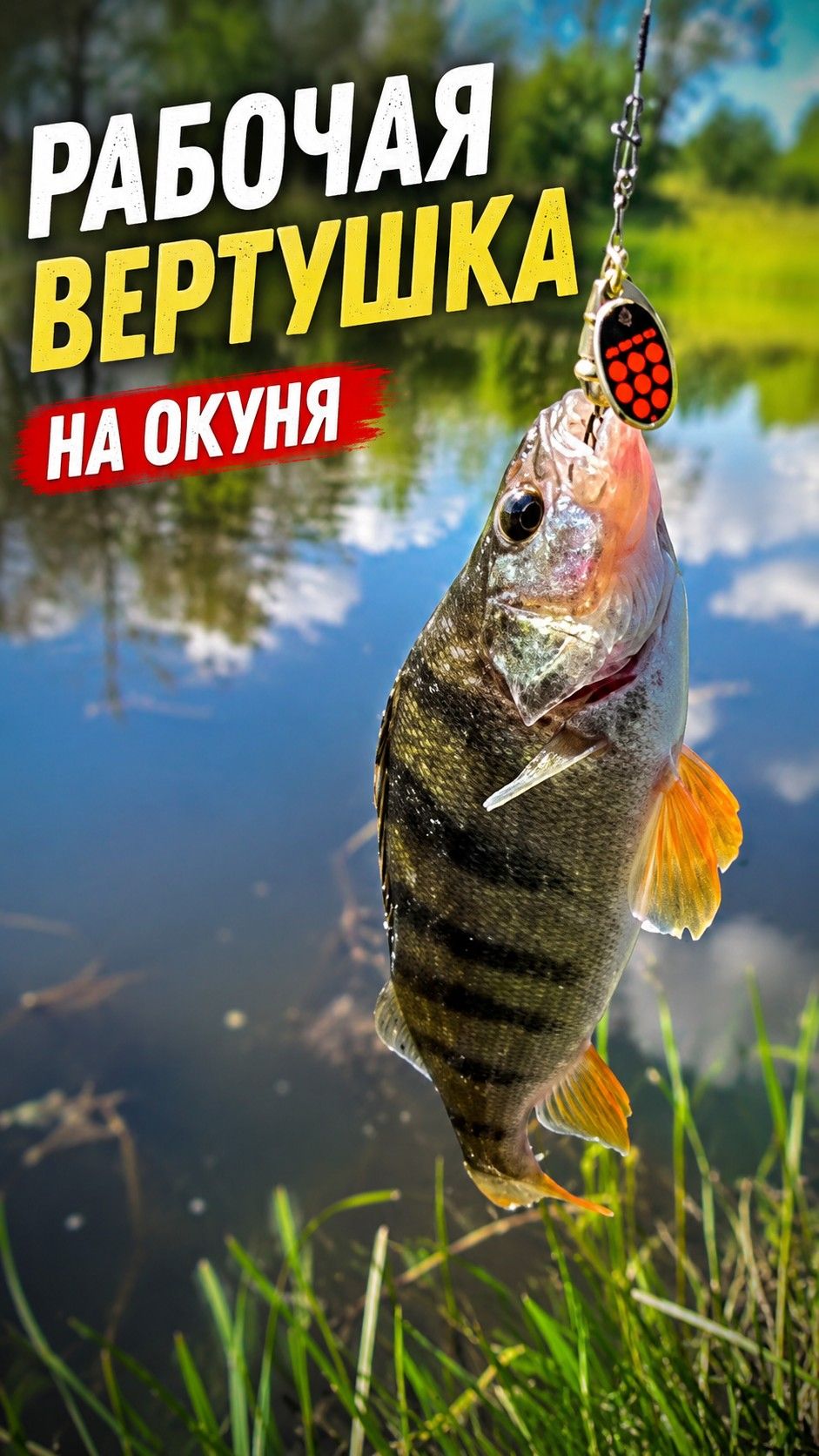 Ловля окуня на вращающуюся блесну AQUA Comet+Bell DZ-06  #fishing