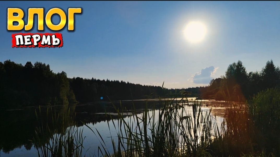 ВЛОГ