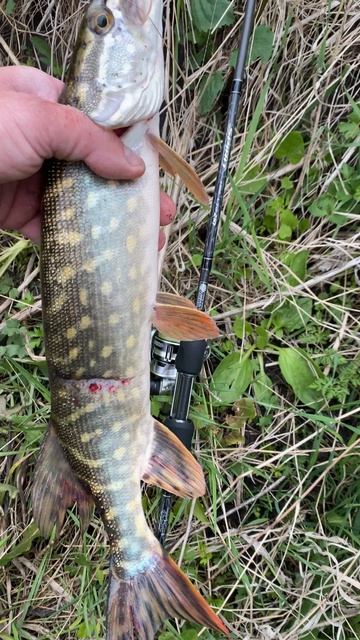 🎣🐟 Моменты с рыбалки! Всем рыбакам НХНЧ!!!  #fishing