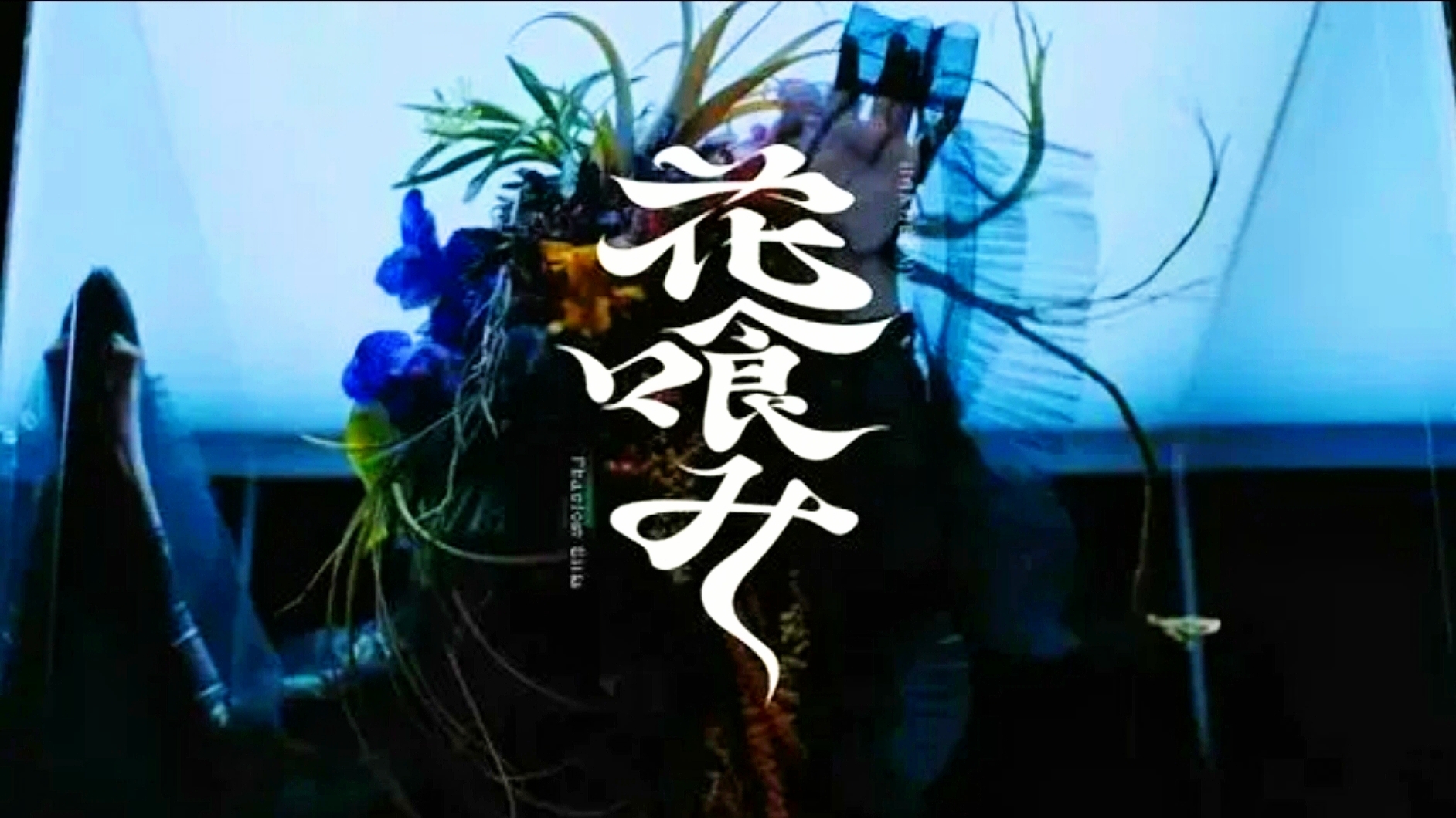 Hanabami - Phantom Siita MV