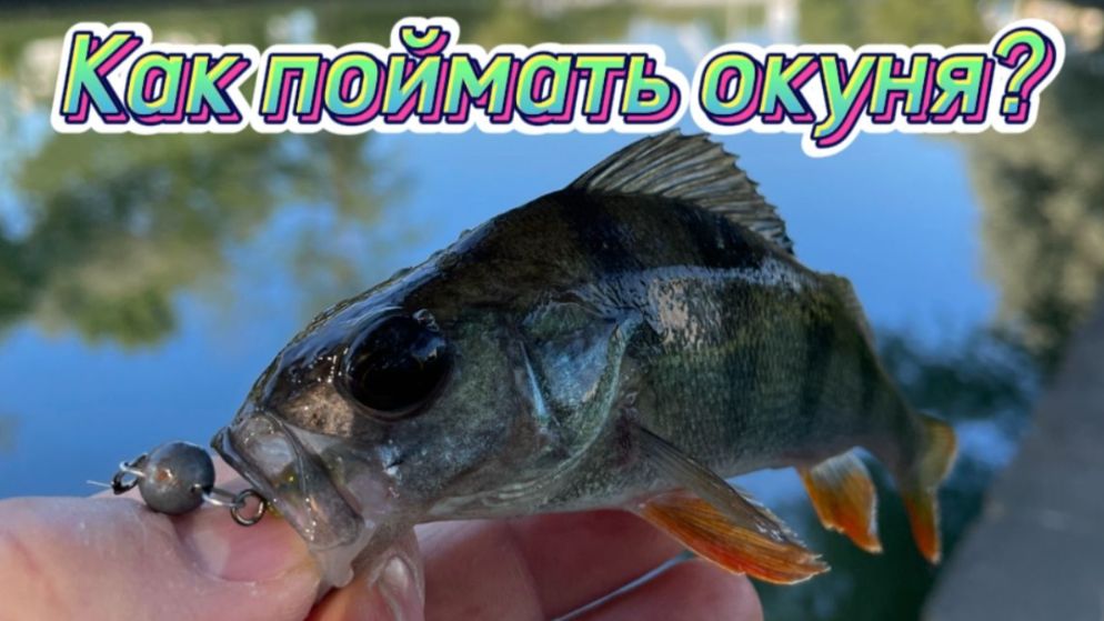 Как ловить на микроджиг или ультралайт? Какой спиннинг и приманки нужны для микроджига?