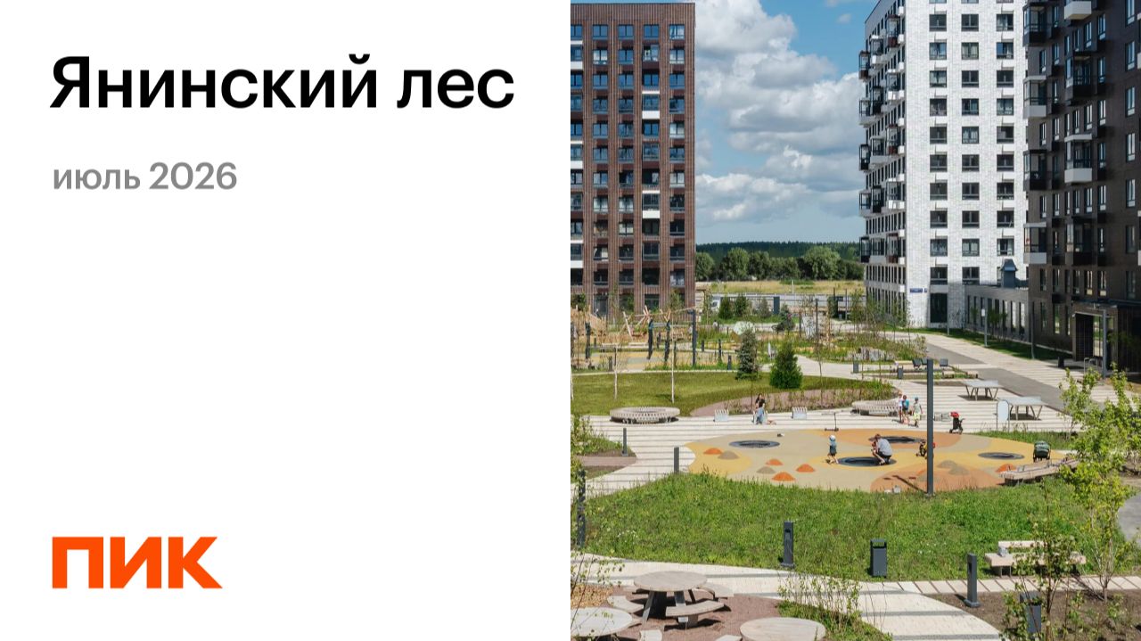 Янинский лес 18.07.2026